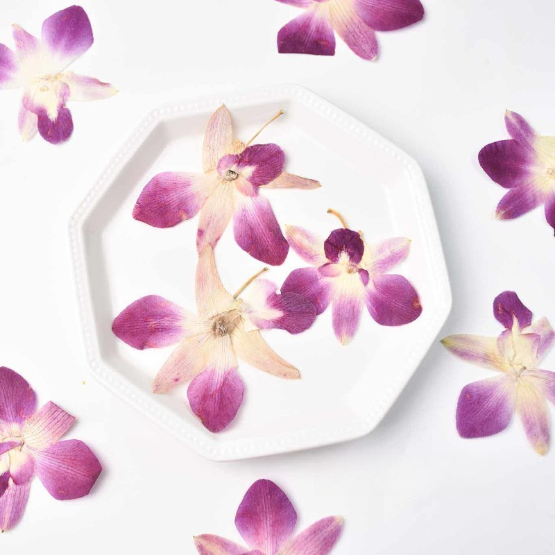 4pcs,Real Pressed Butterfly Or - огляд і ціна Home Decor Scrap