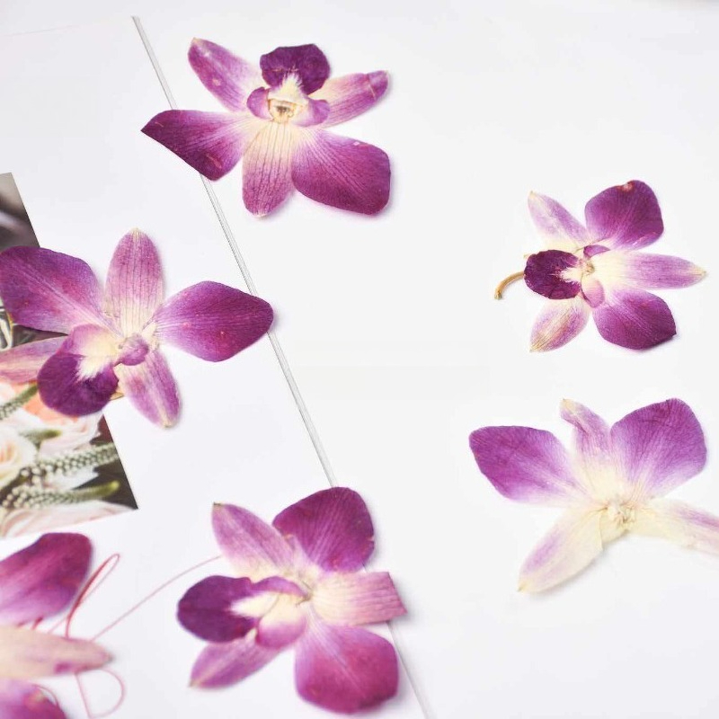 4pcs,Real Pressed Butterfly Or - огляд і ціна Home Decor Scrap